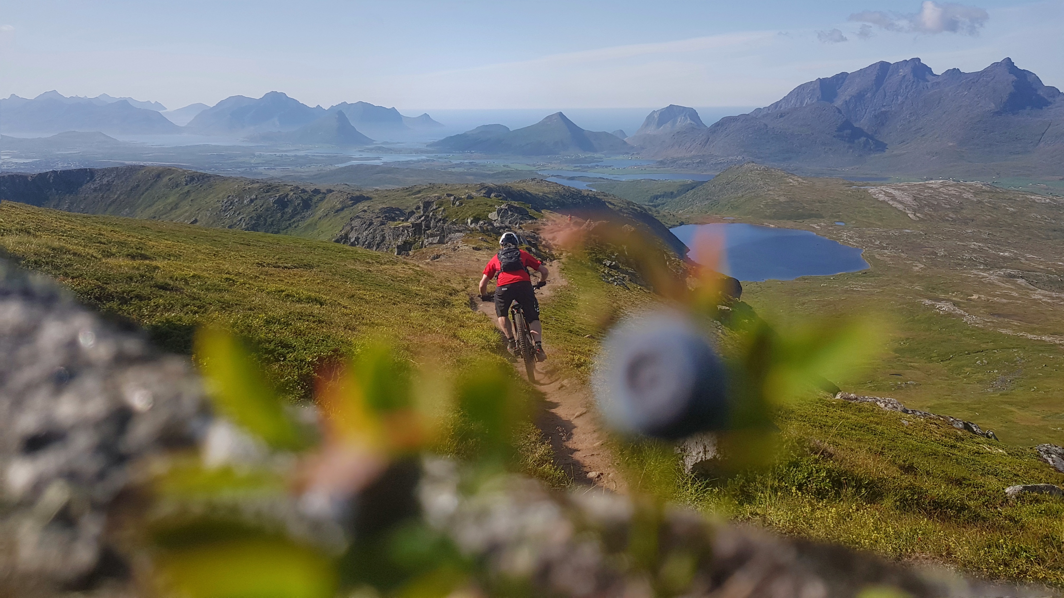 Mountain biker on trail