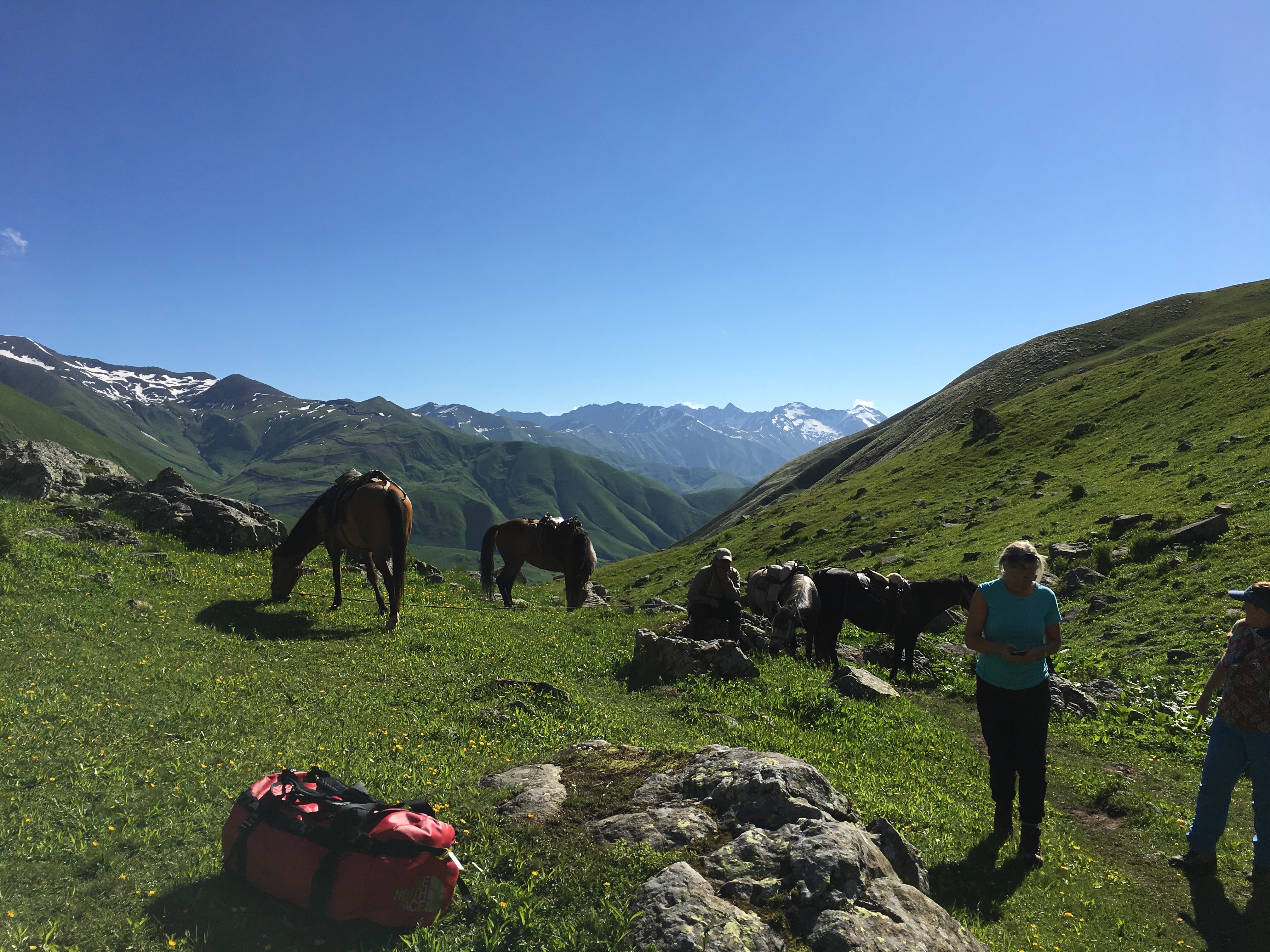 Kuer og folk på en eng i fjellet med blå himmel