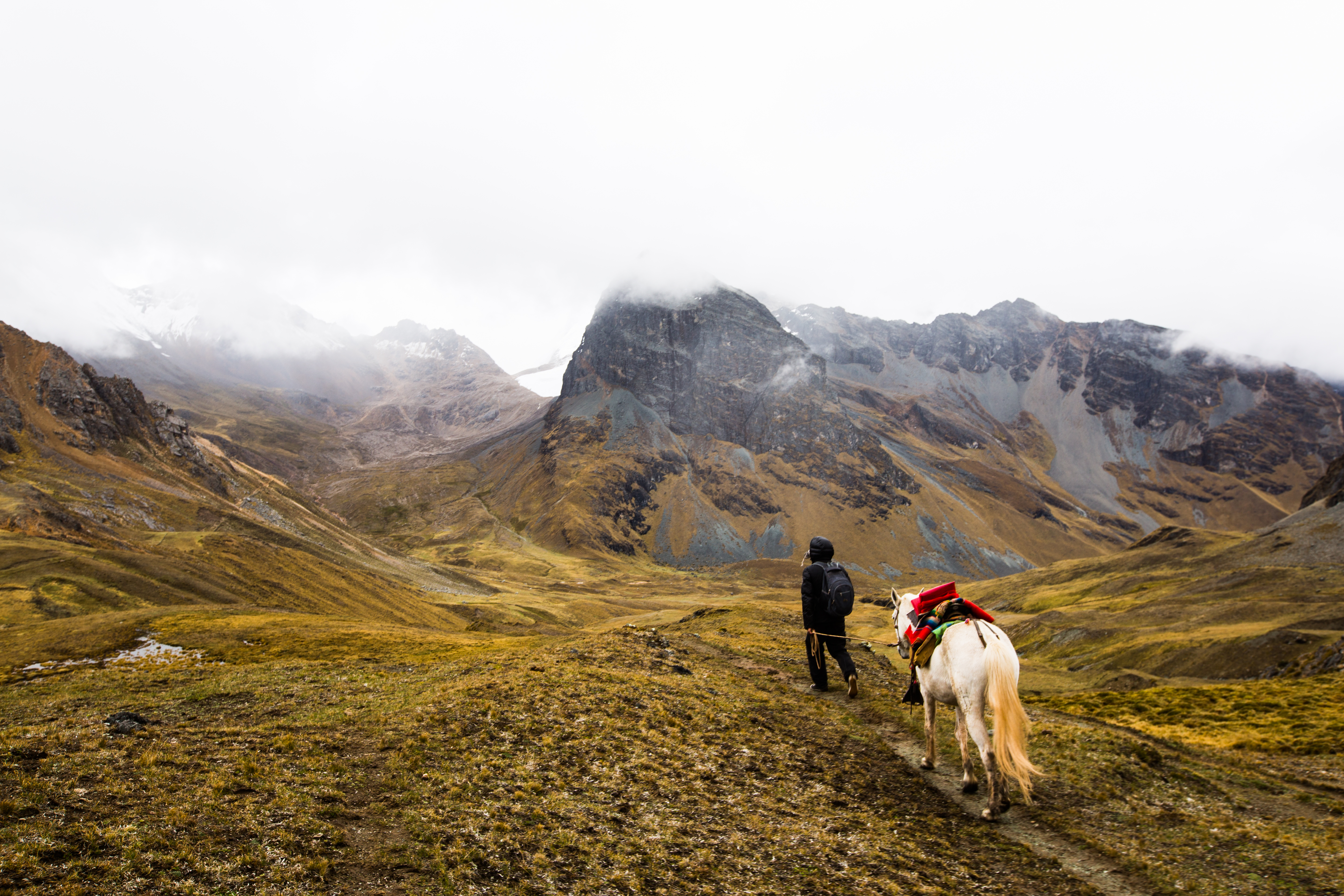 Person som går med en hest i fjellet