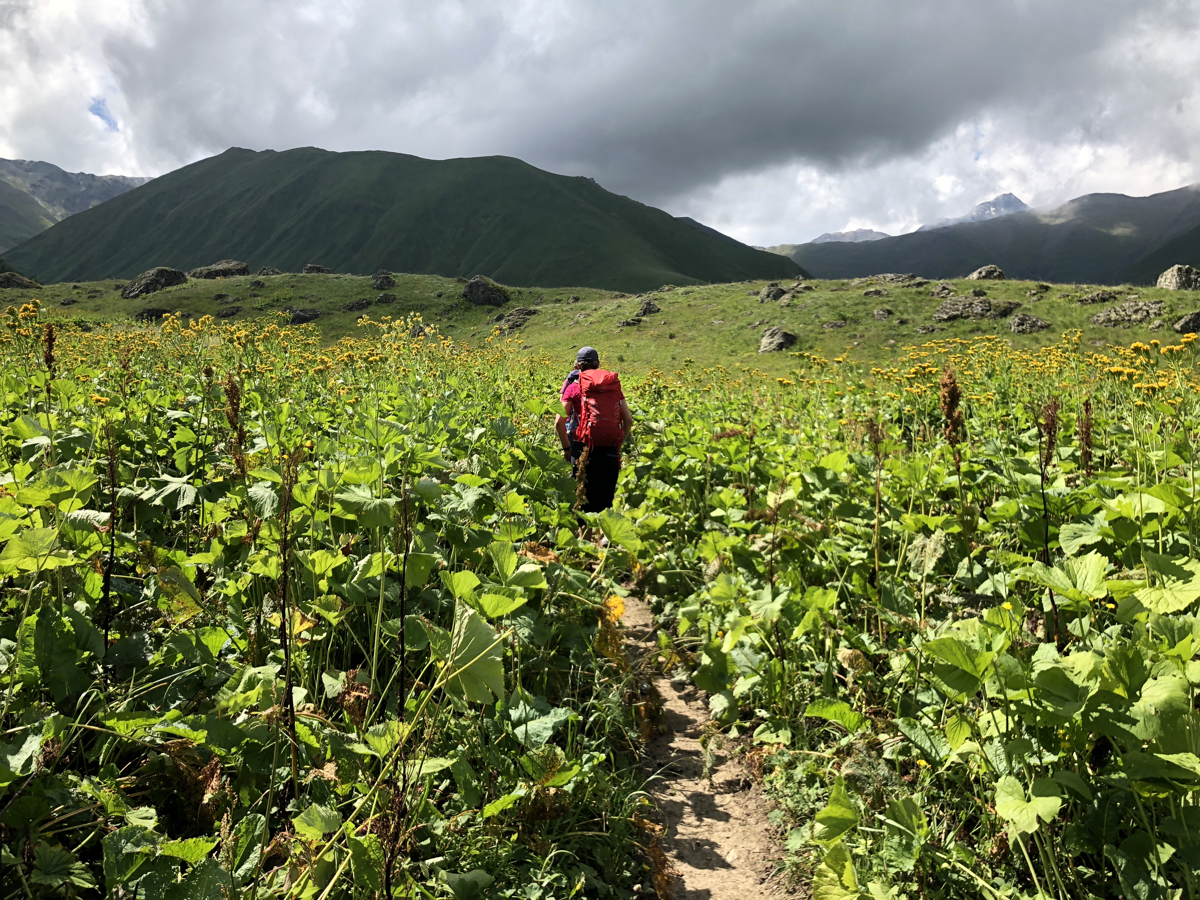 Person som går gjennom en eng