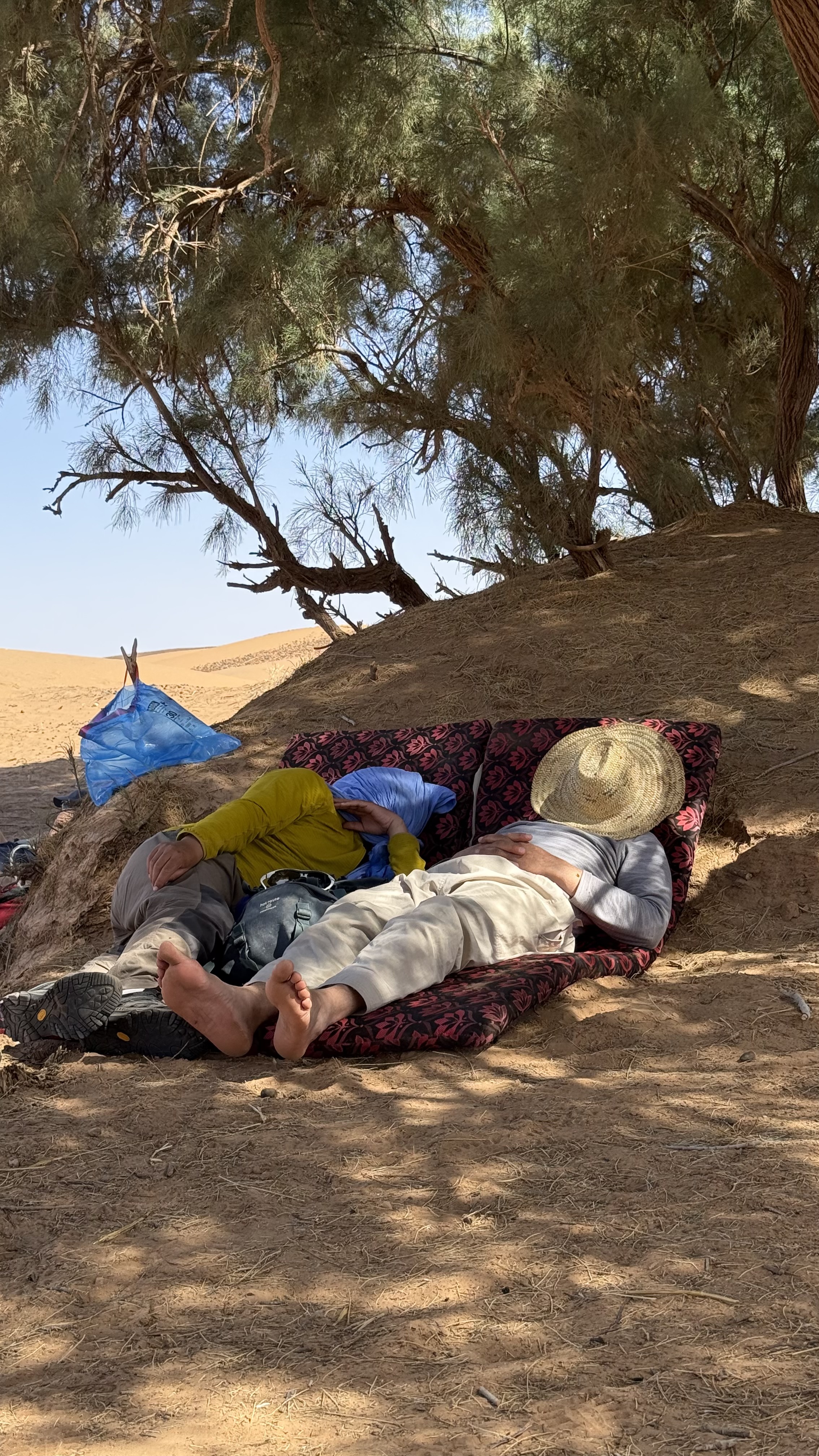 Folk som sover under et tre