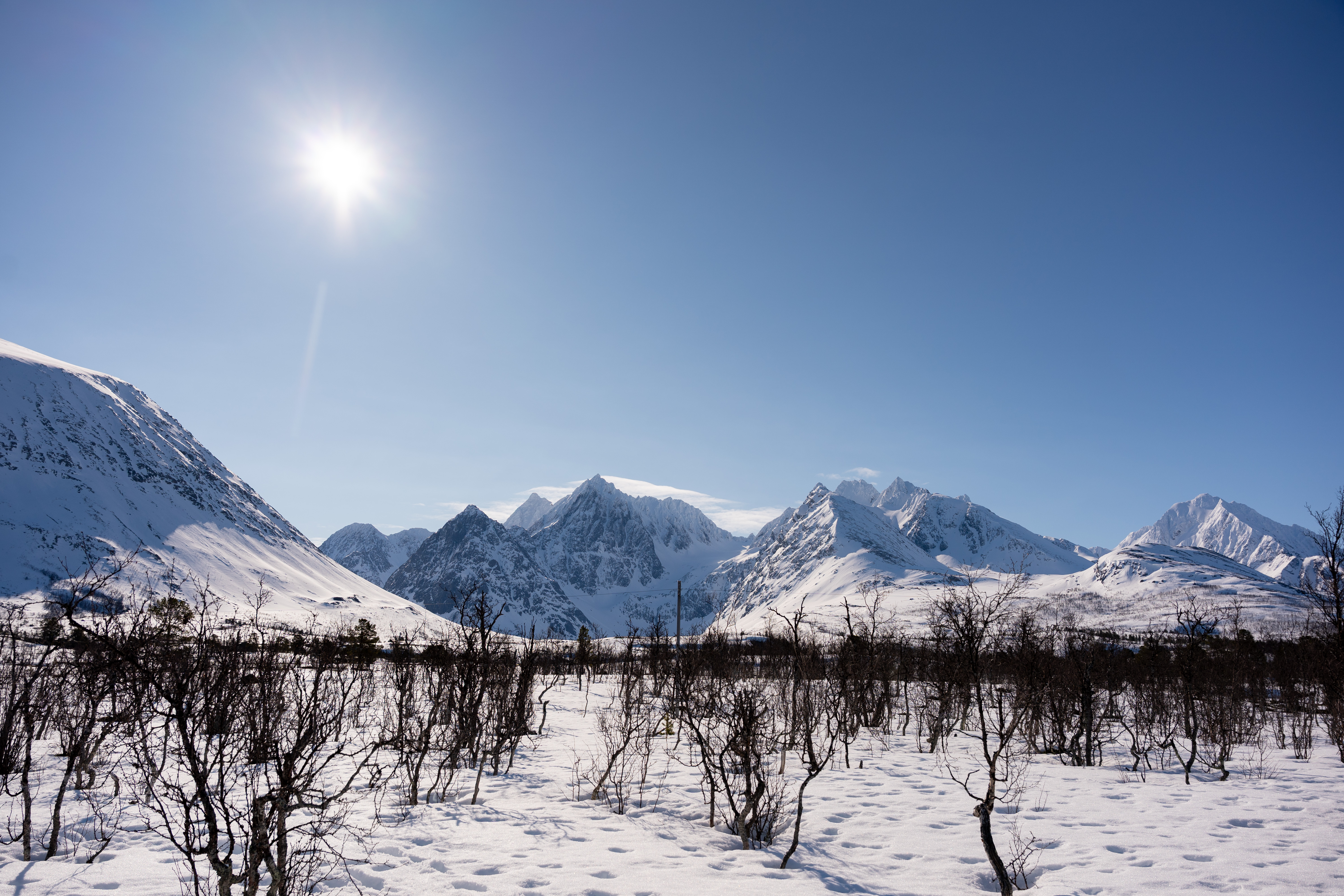 Snødekte fjell og sol og trær