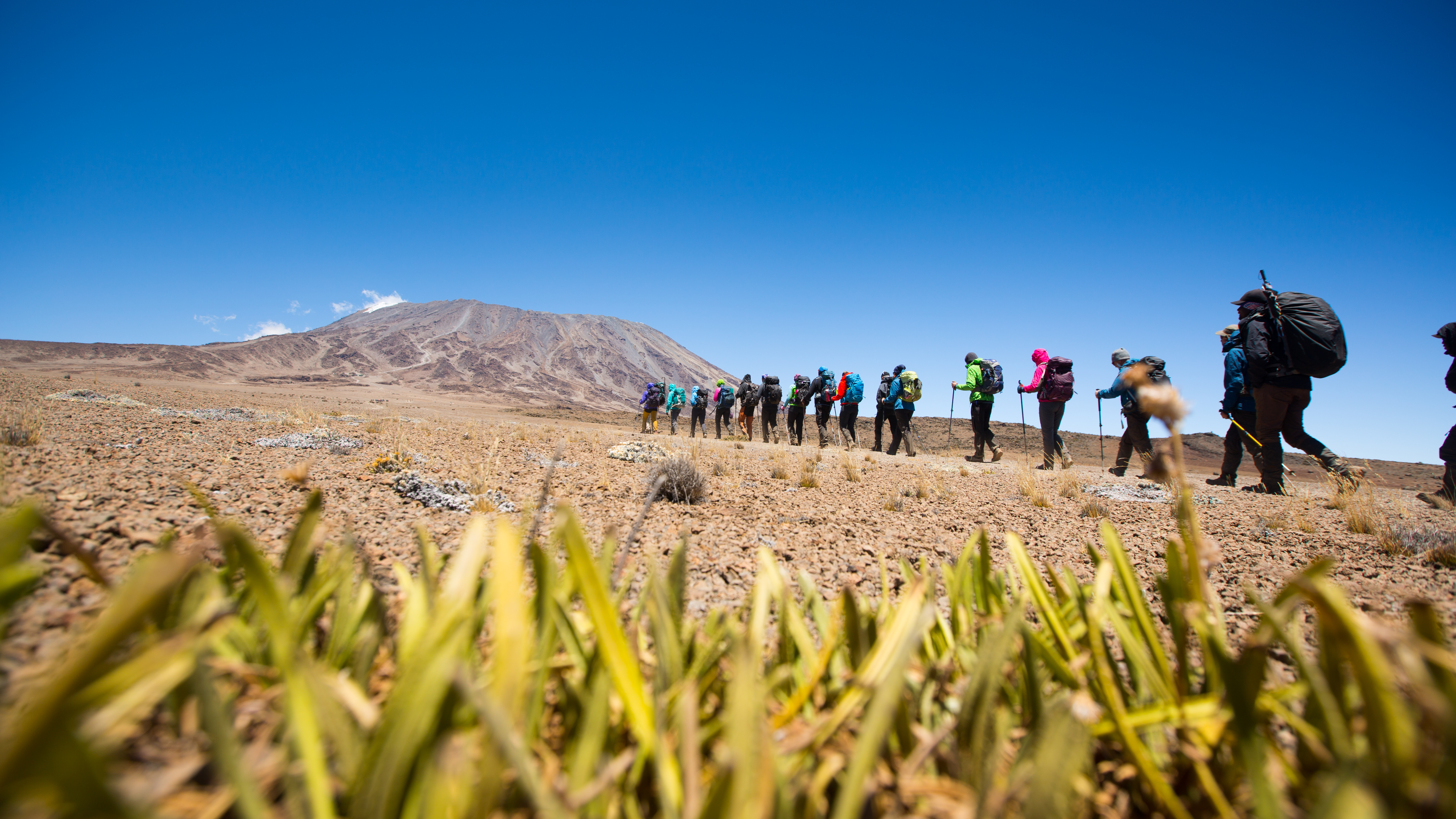 Kilimanjaro (5895 moh)