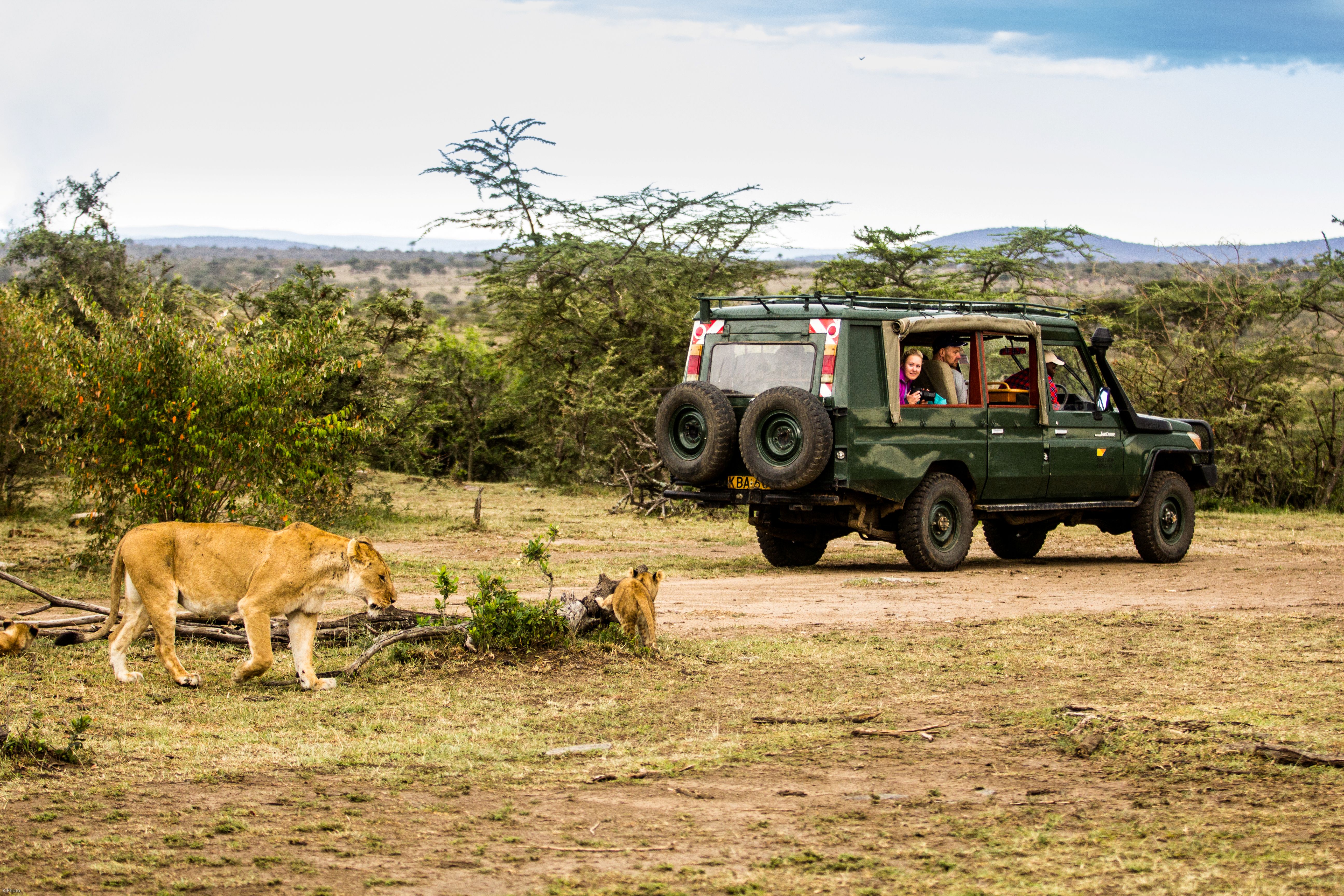 Safari i Serengeti med strandferie på Zanzibar