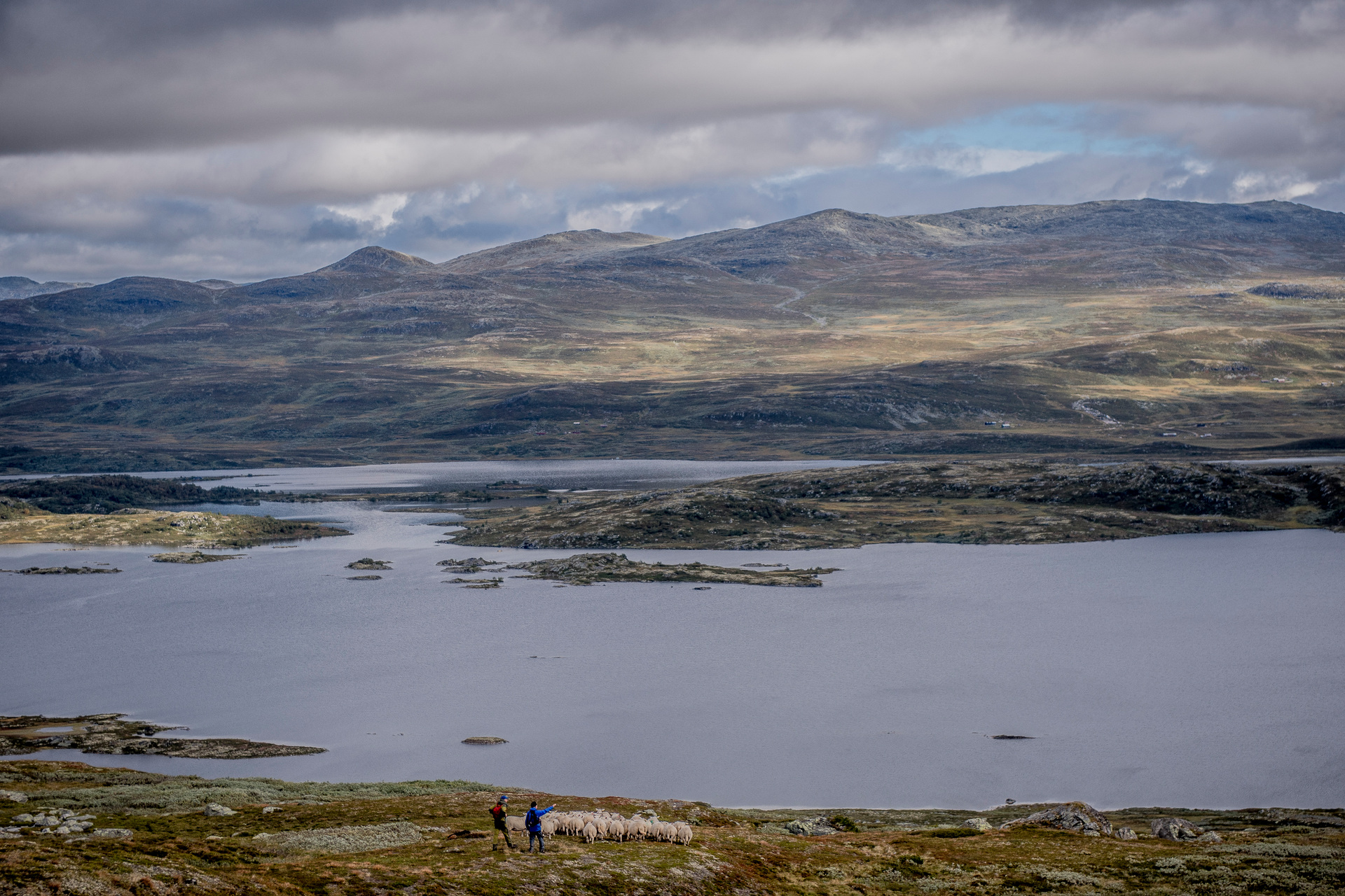 Hike across Hardangervidda