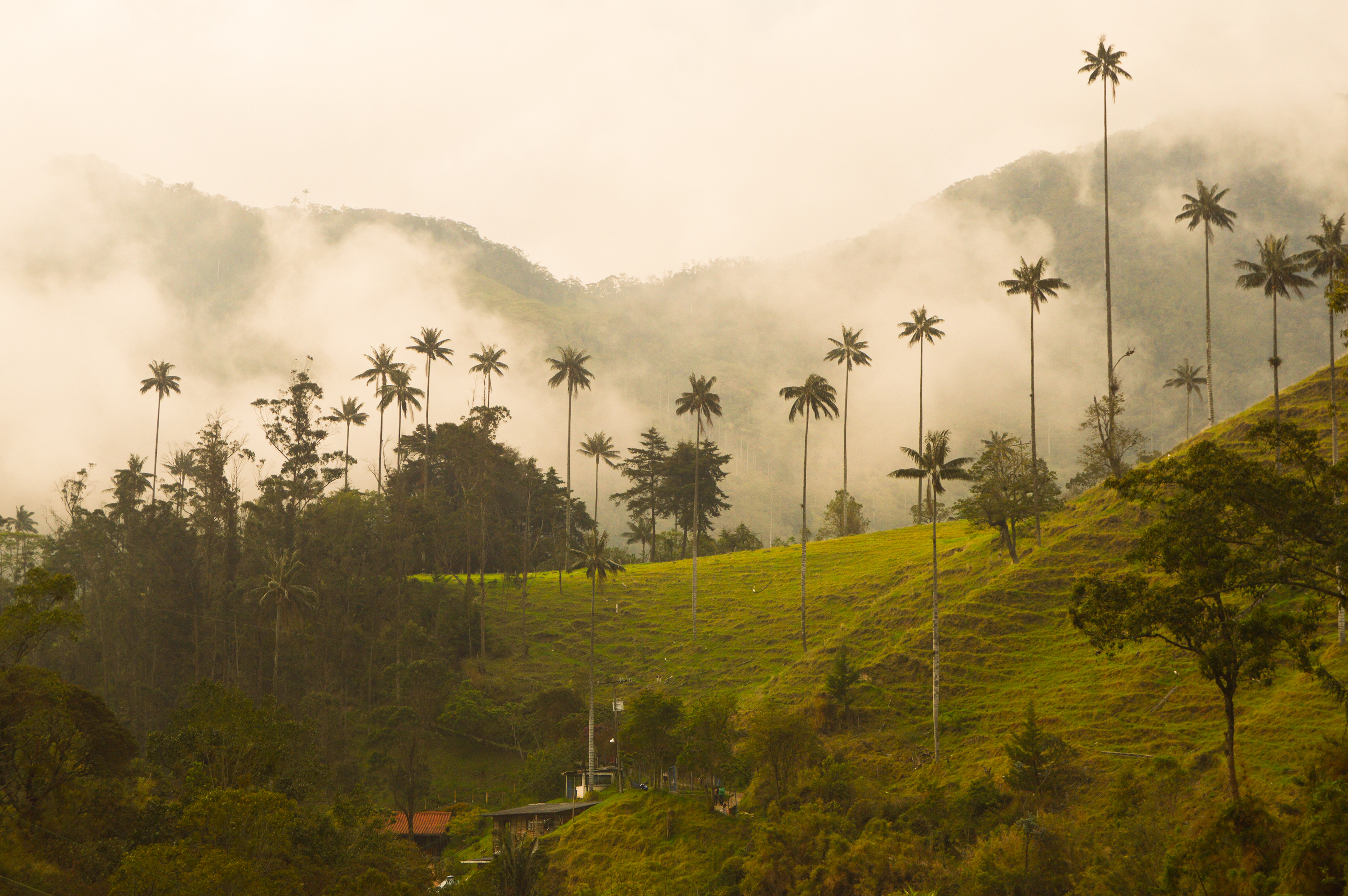 Magiske Colombia