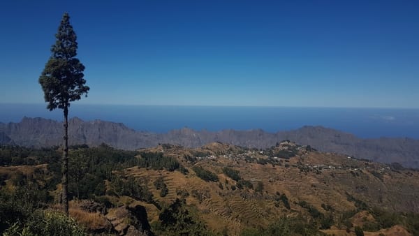 A single tall pine tree stands on a ridge overlooking a vast, terraced mountainous landscape with small villages, bordered by a rugged mountain range and the distant blue ocean horizon.
