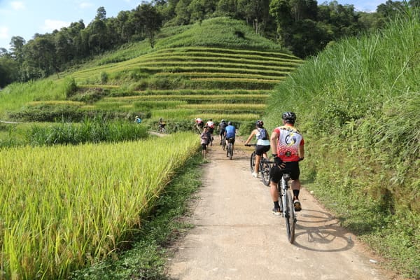 Cyclists riding along a dirt road beside terraced green fields.