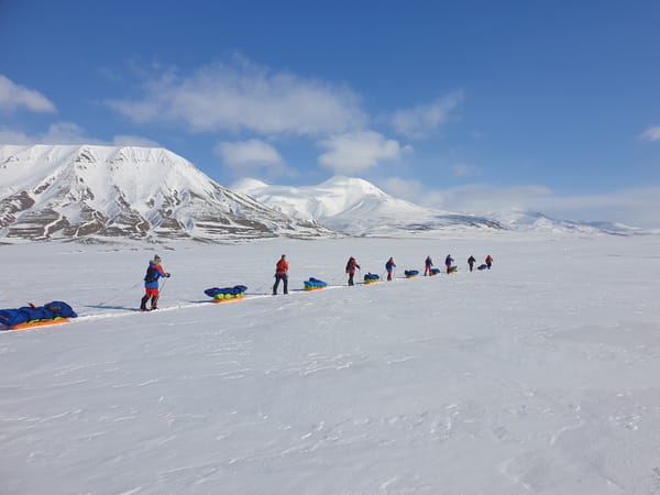 A line of people cross-country skiing across a snowy expanse with mountains in the background under a blue sky.