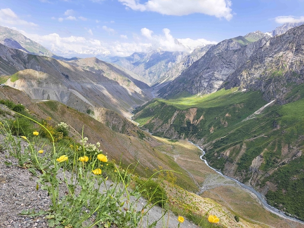 Yellow wildflowers bloom on a steep hillside in the foreground, overlooking a deep mountain valley where a winding river flows beneath partially cloudy skies.