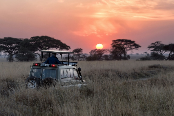 Safari jeep driving at sunset