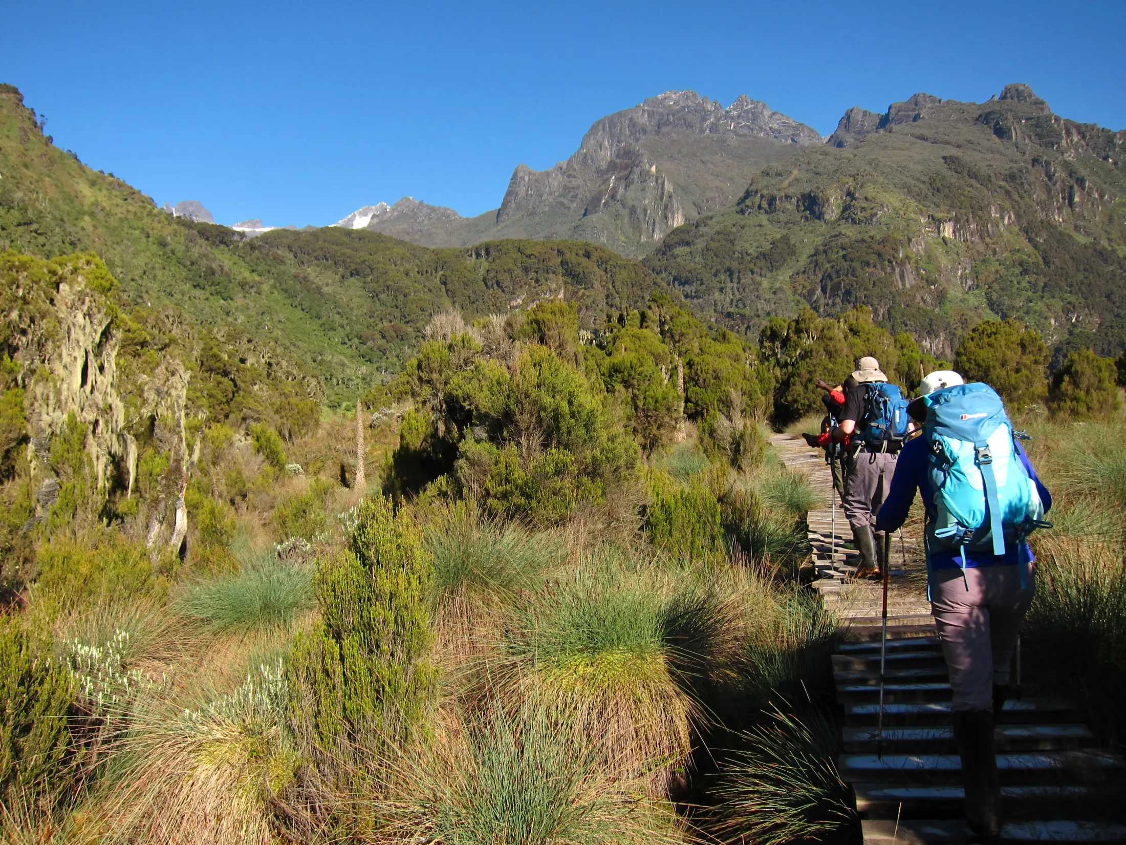 Hikers with large backpacks walk along a wooden boardwalk trail surrounded by alpine vegetation, with a clear view of towering, rugged mountain peaks in the background.