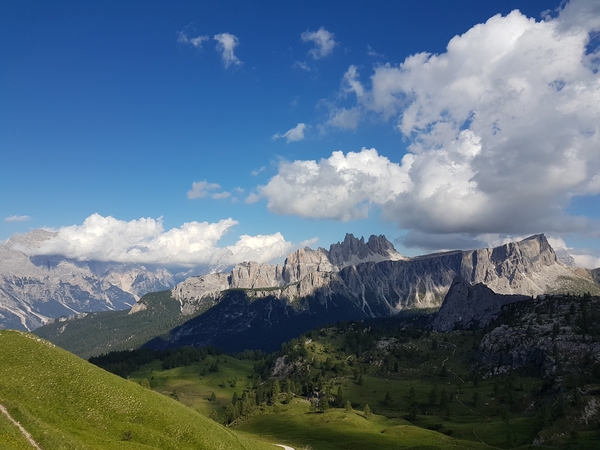 Mountains and meadows