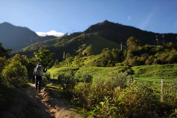 A hiker walking on a dirt trail surrounded by green vegetation and mountains under a blue sky.