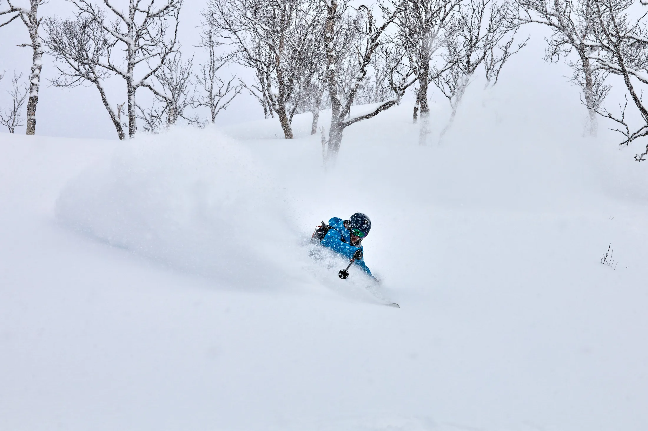 A skier in a blue jacket carves through deep powder snow among bare winter trees.