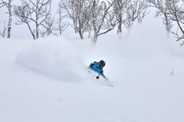 A skier in a blue jacket kicks up a large plume of powder snow among winter trees.
