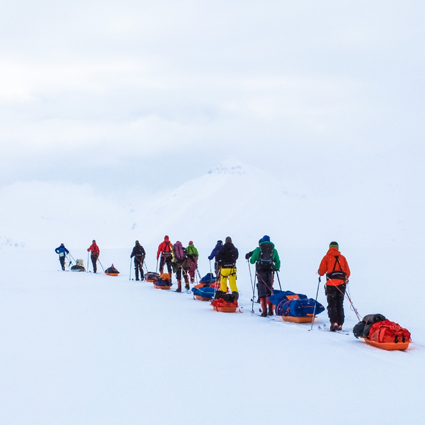 People skiing with sleds.