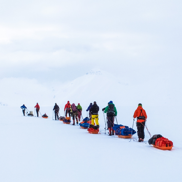 People skiing with sleds.