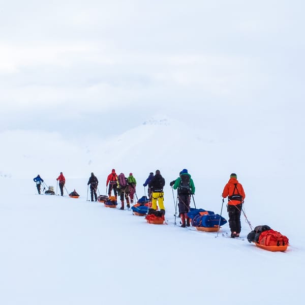 People skiing with sleds.