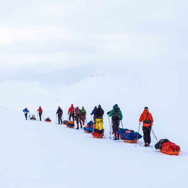 People skiing with sleds.