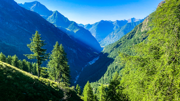 A breathtaking view looking down a deep mountain valley with a winding river, framed by steep, forested green slopes and distant blue peaks illuminated by sunlight under a clear sky.