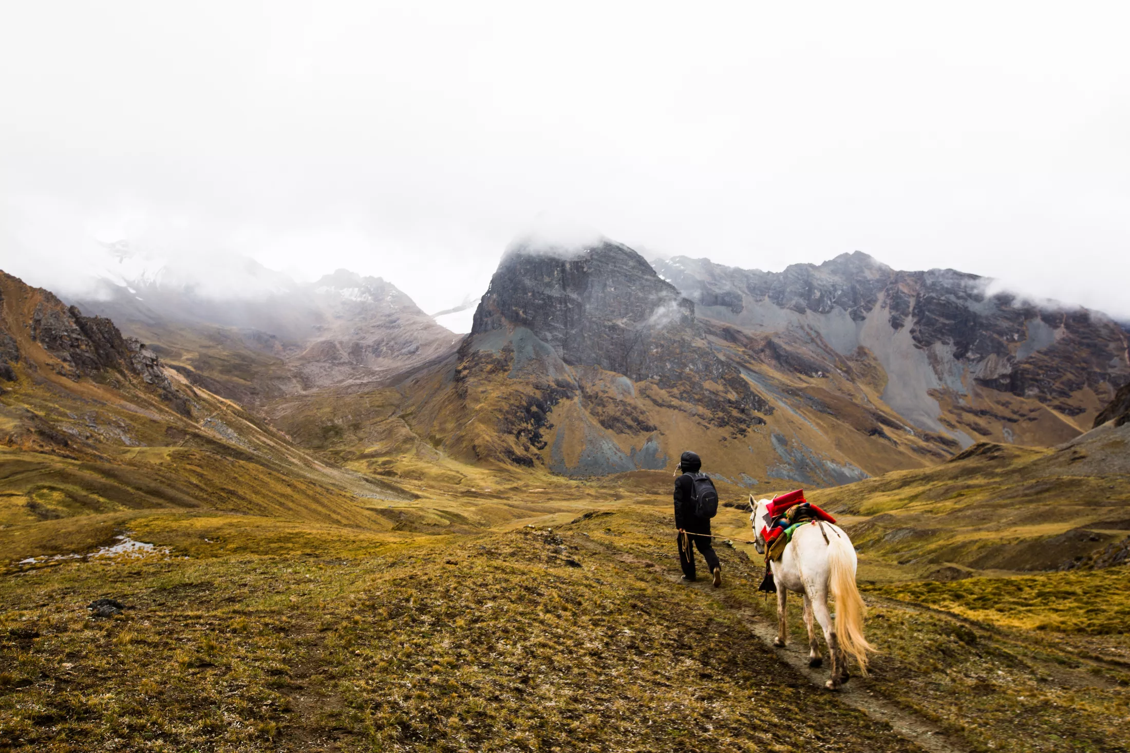 A man walking a horse in mountains