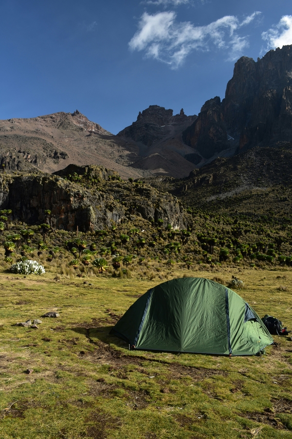 A green tent pitched in a grassy alpine meadow on Mount Kenya sits before steep rocky ridges and hillsides dotted with giant groundsels under a blue sky.