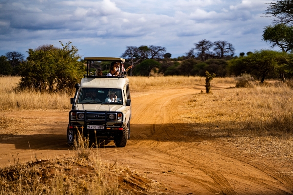 A beige safari vehicle drives along a winding dirt road in the savanna while passengers look out from the open roof.