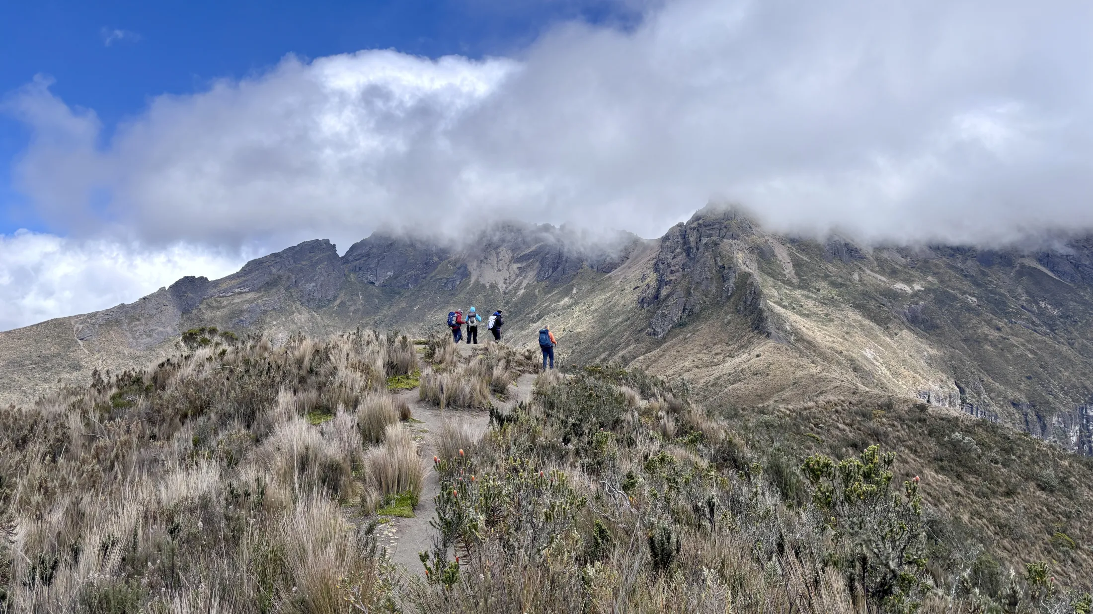 Hikers in landscape 