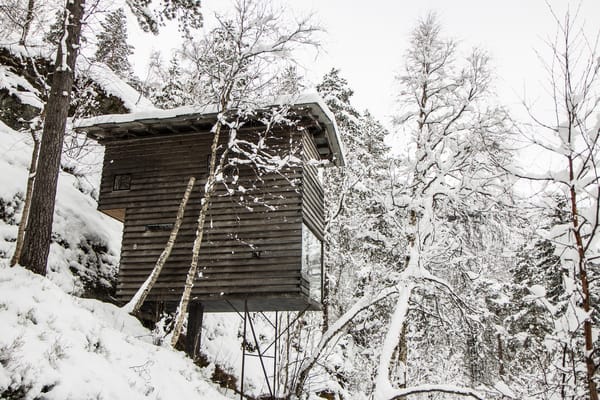 A small wooden treehouse nestled in a snowy forest on a steep slope.