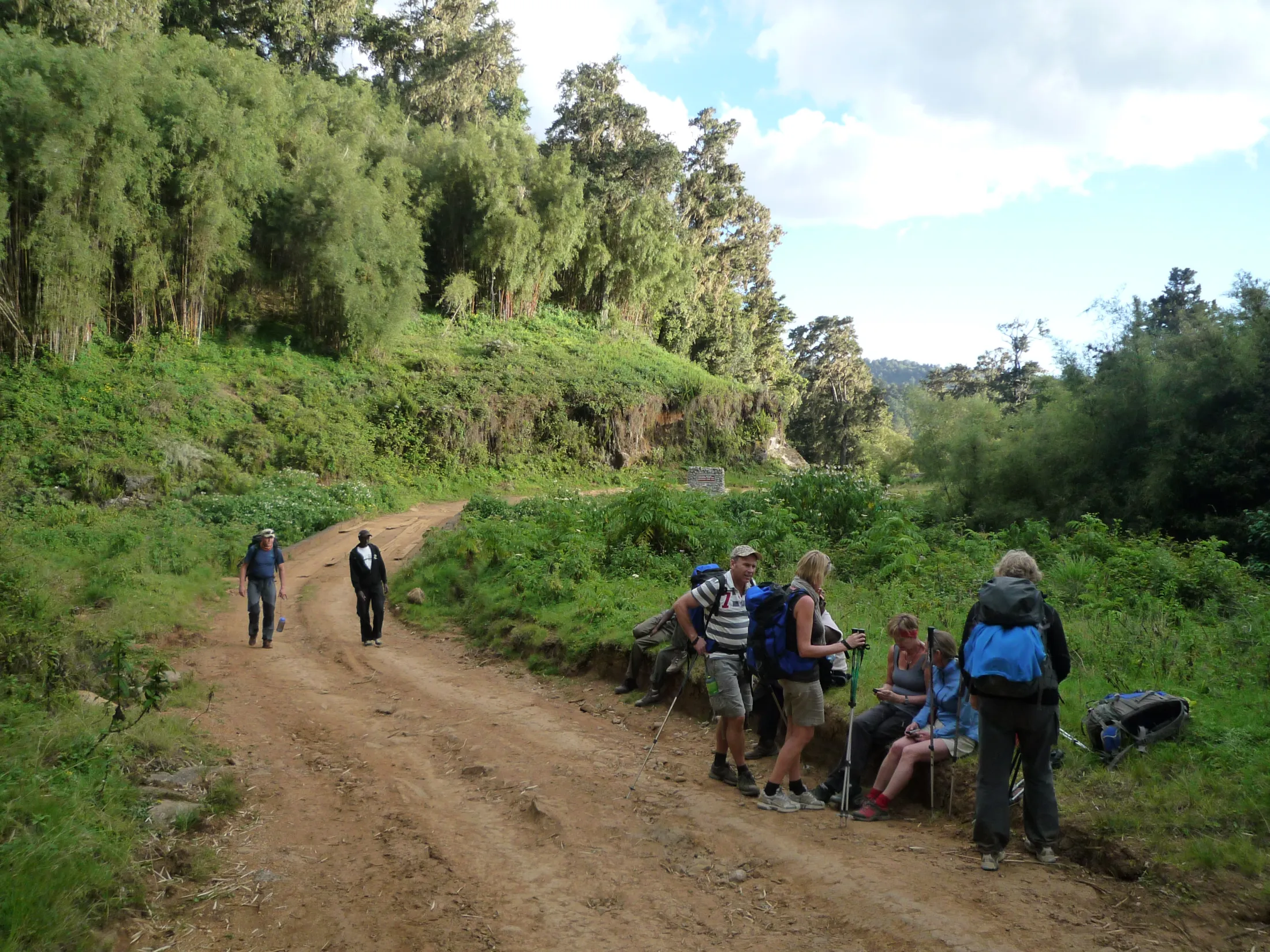 A group of hikers with backpacks rests by a dirt road winding through a lush, green forest on the slopes of Mount Kenya.