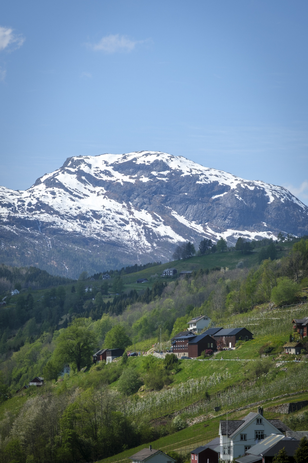 Farm with mountains in the background with snow on.