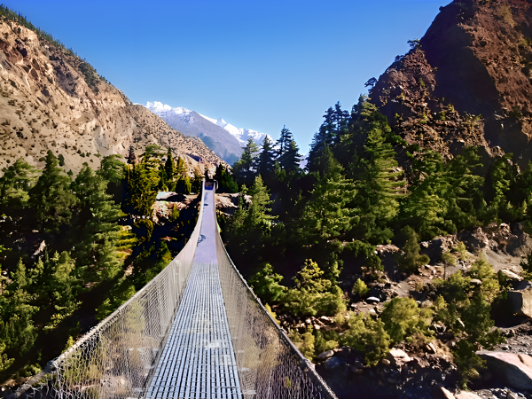 A long metal suspension bridge spans across a deep valley surrounded by pine trees, with snow-capped mountain peaks visible in the distance under a clear blue sky.