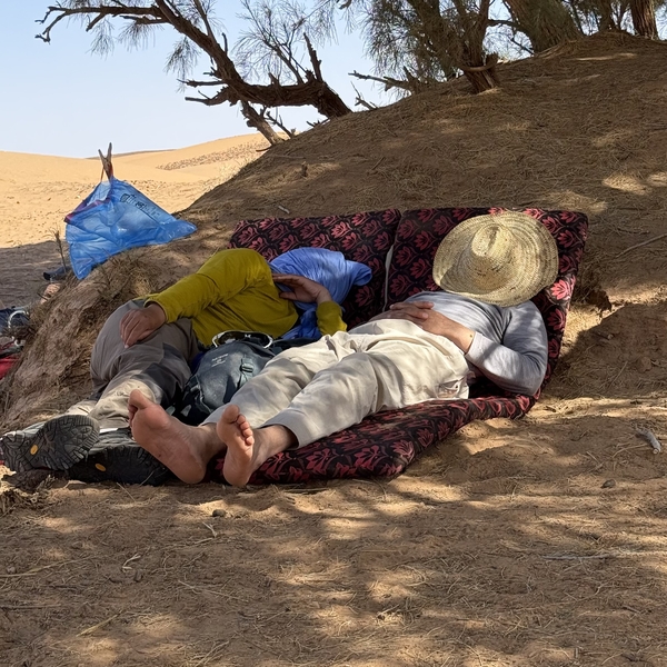 People napping under a tree
