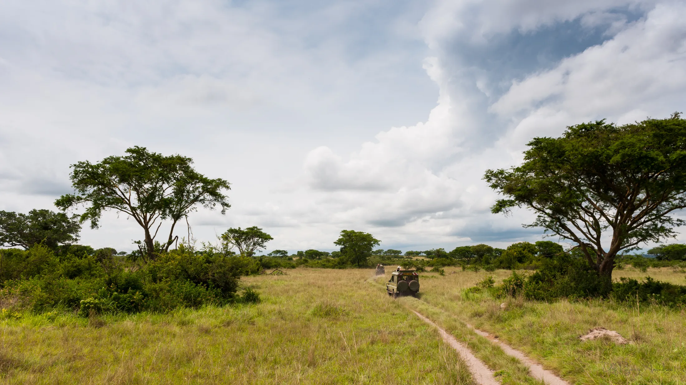 A safari vehicle driving through a grassy savanna landscape with scattered trees under a partly cloudy sky.