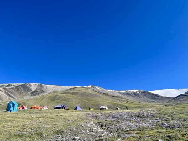 A collection of colorful tents forms a base camp on a grassy, wildflower-dotted meadow at the base of rolling hills and snow-dusted mountains under an expansive, clear blue sky.