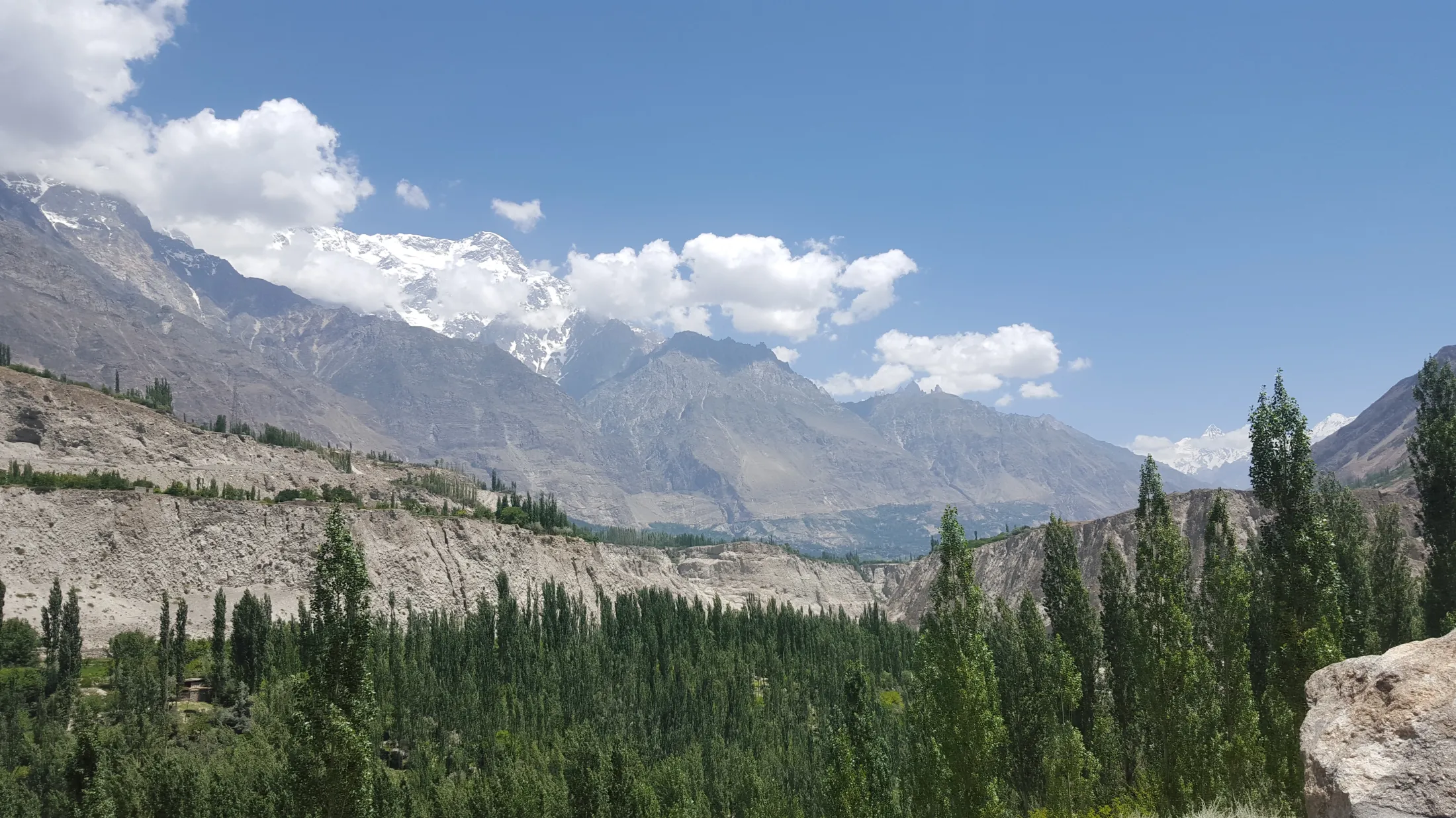Tall green poplar trees line a valley beneath steep, rocky mountains, with snow-capped peaks rising into a blue sky with fluffy clouds.