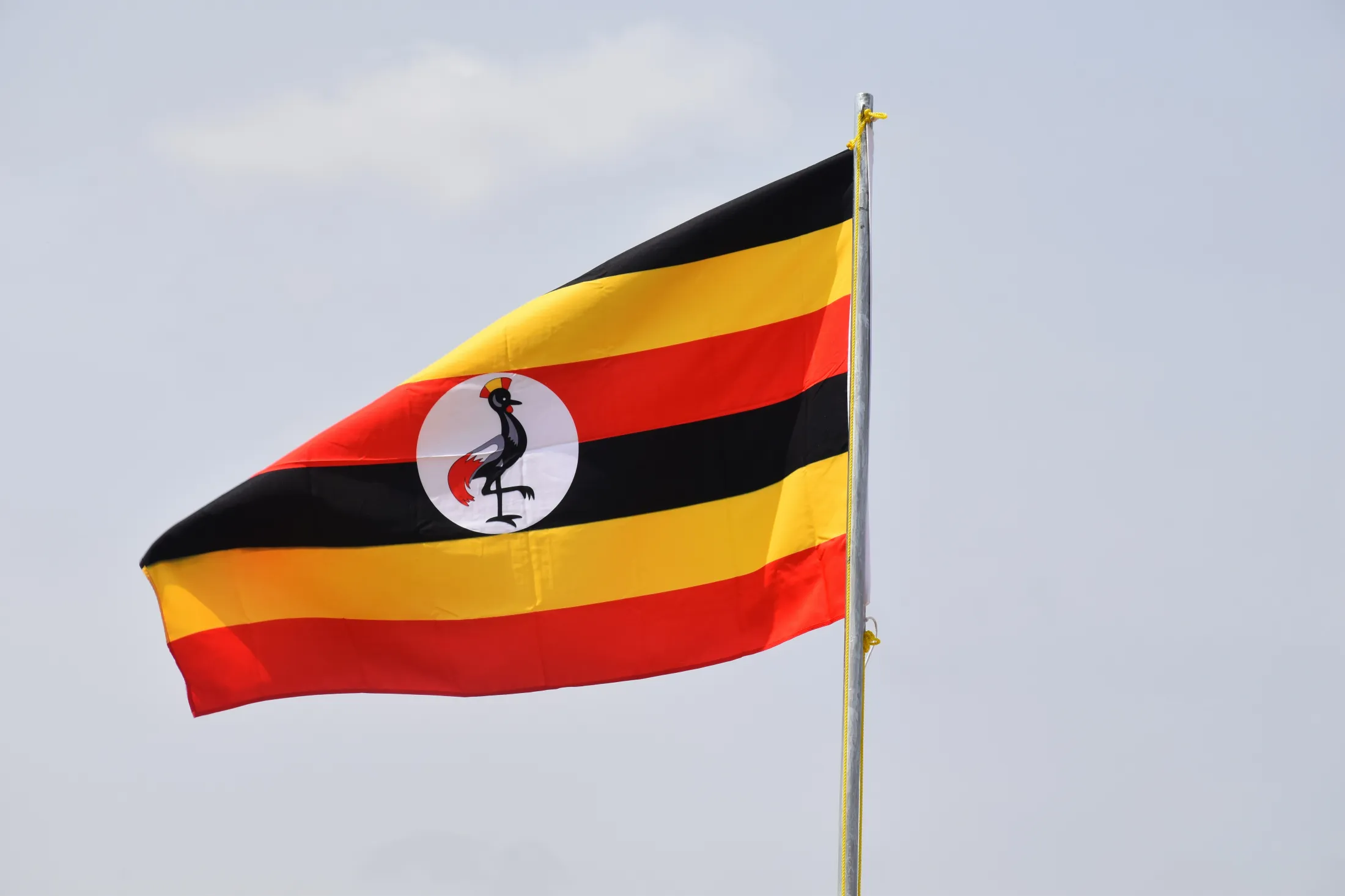 The national flag of Uganda, featuring horizontal bands of black, yellow, and red with a grey crowned crane in a central white circle, waves against a pale sky.