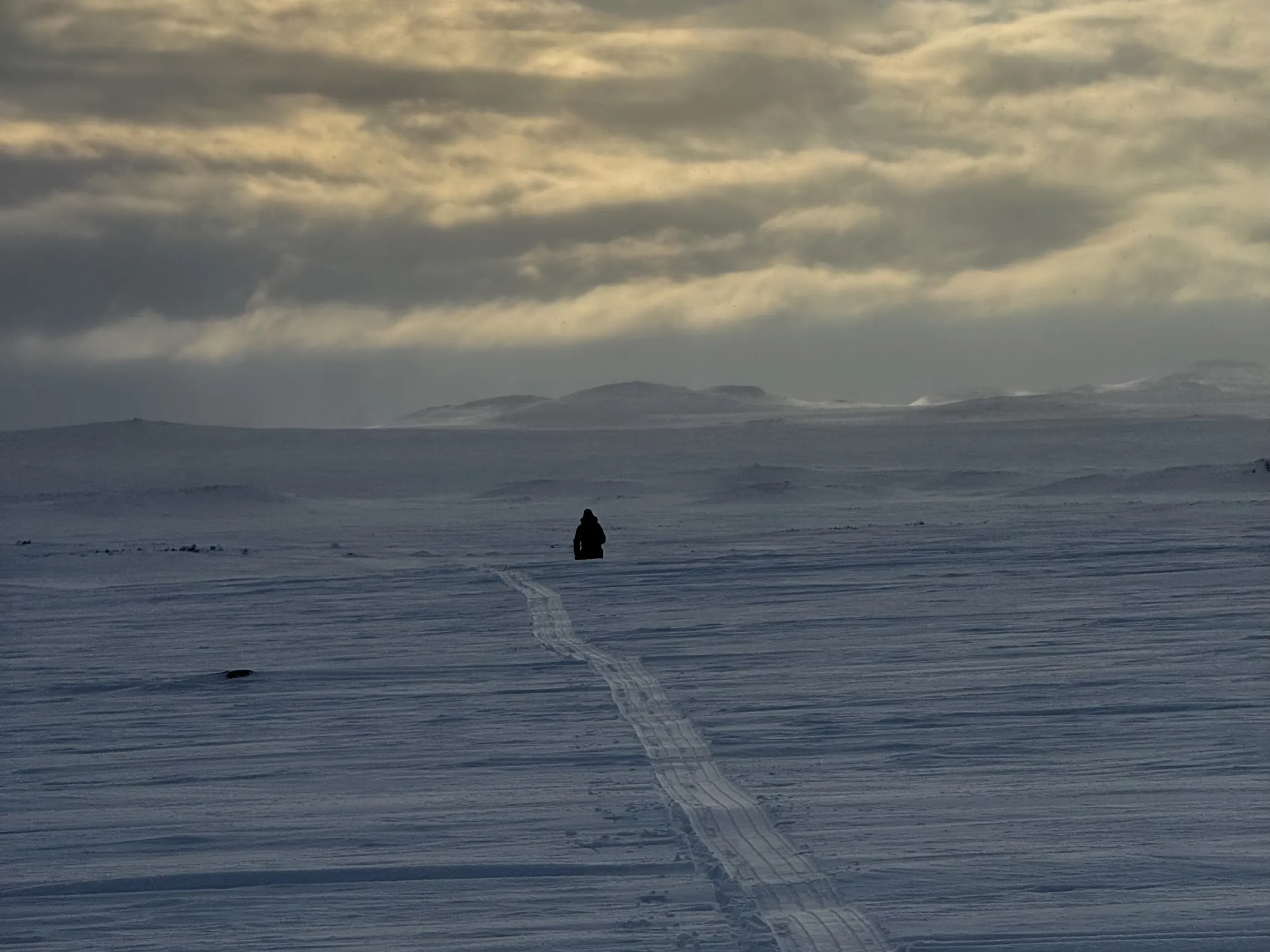 A person stands in a vast, snow-covered landscape under a cloudy sky, with tracks leading away from them.
