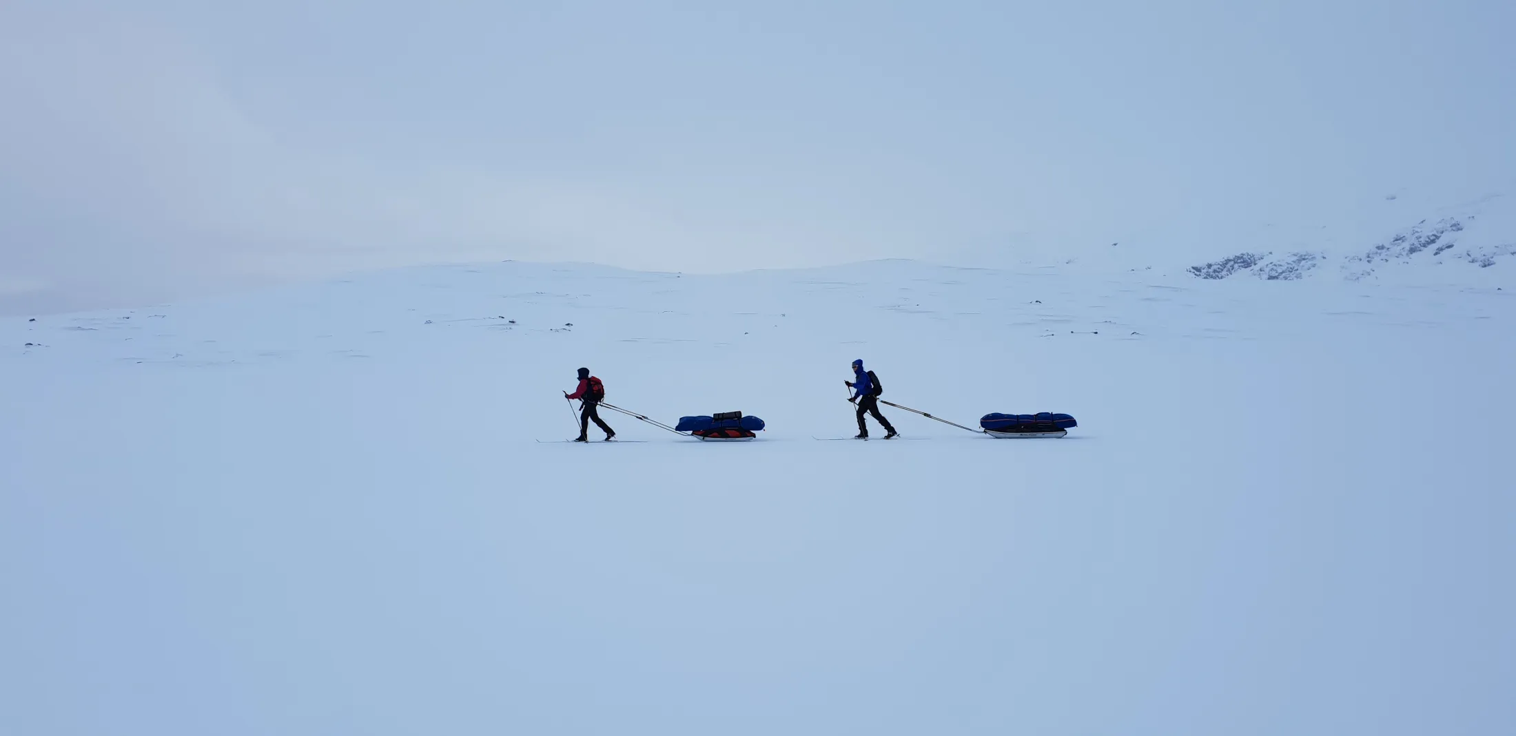 Two skiers pulling pulks across a snowy landscape.