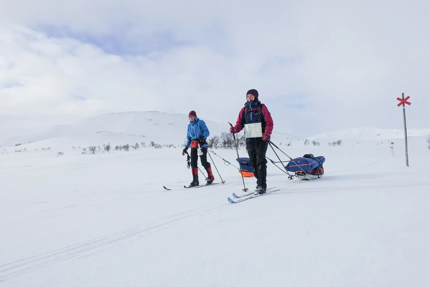 Two people cross-country skiing across a snowy landscape, pulling pulks in the mountains.
