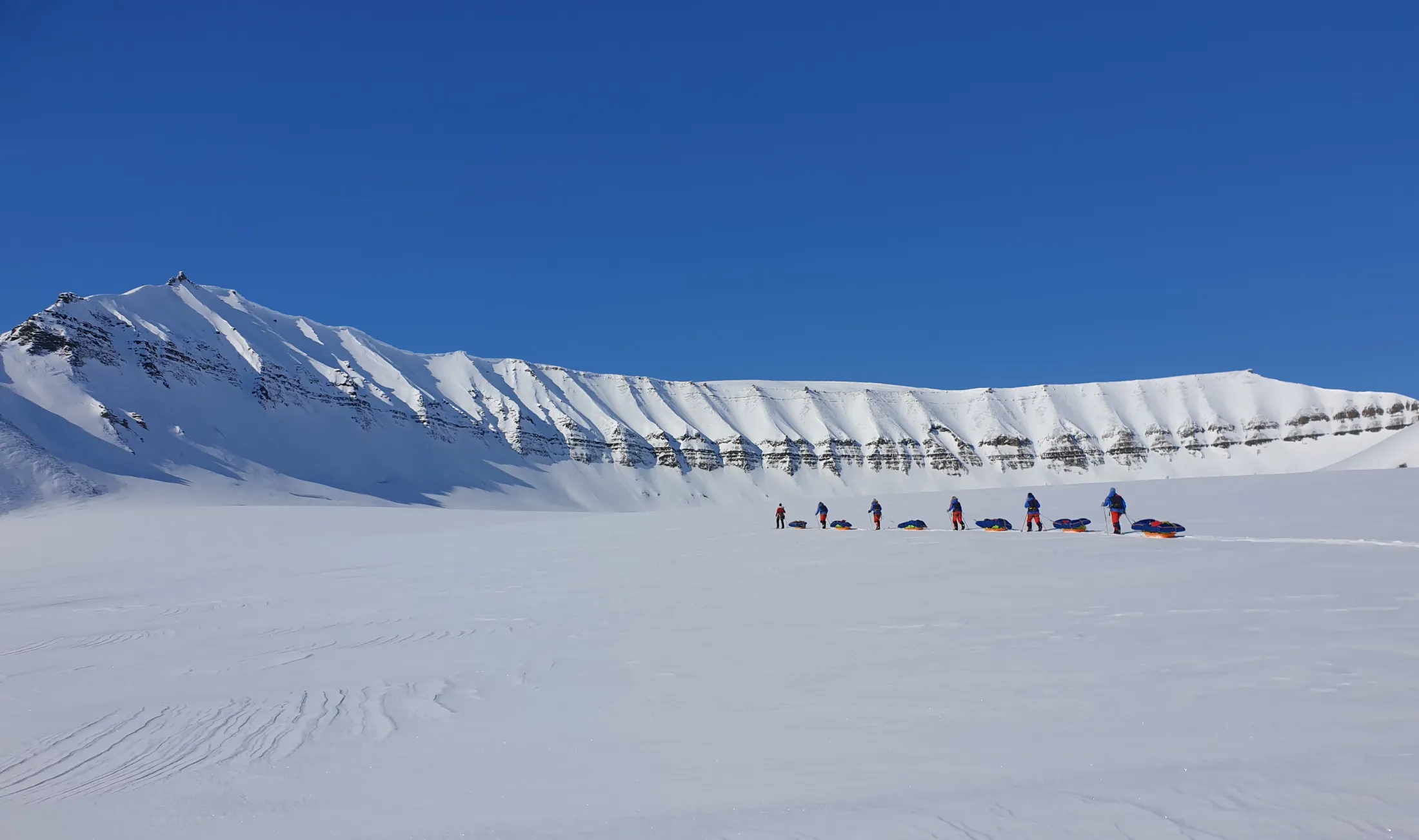 A line of skiers with pulks in a snowy landscape under a clear blue sky, with a snow-covered ridge in the background.