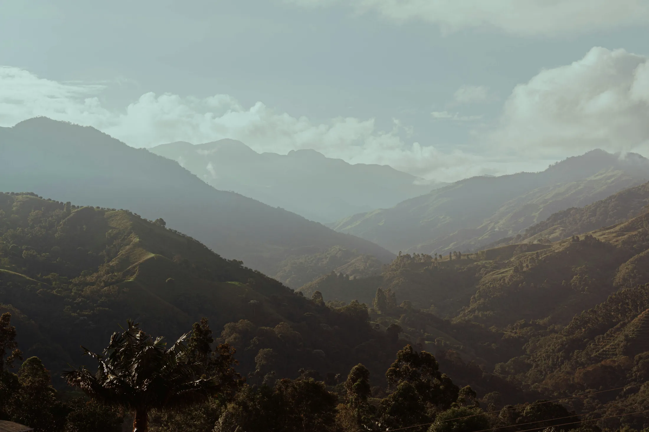 Misty mountains and forested hills