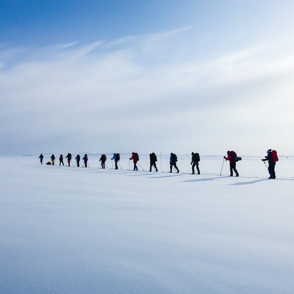 Group of skier through the toundra