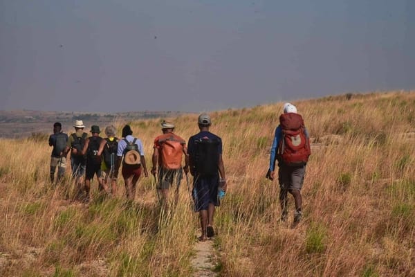 A group of hikers with backpacks single-file walks along a narrow trail through tall, dry grass.