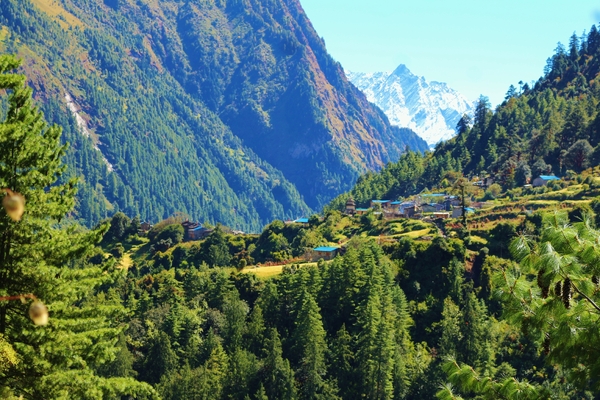 A small hillside village with blue-roofed houses is nestled among lush green forests and terraced fields, with a jagged, snow-covered peak rising in the distant valley.