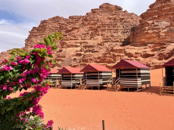 A row of striped Bedouin tents with red roofs sits on red sand in front of a towering sandstone mountain, framed by pink flowers in the foreground.