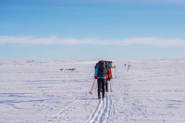 Cross-country skiers with heavy backpacks walking on snow under a blue sky.