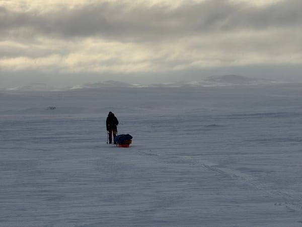 A person walking across a vast snow-covered landscape pulling a pulk, under a cloudy sky.
