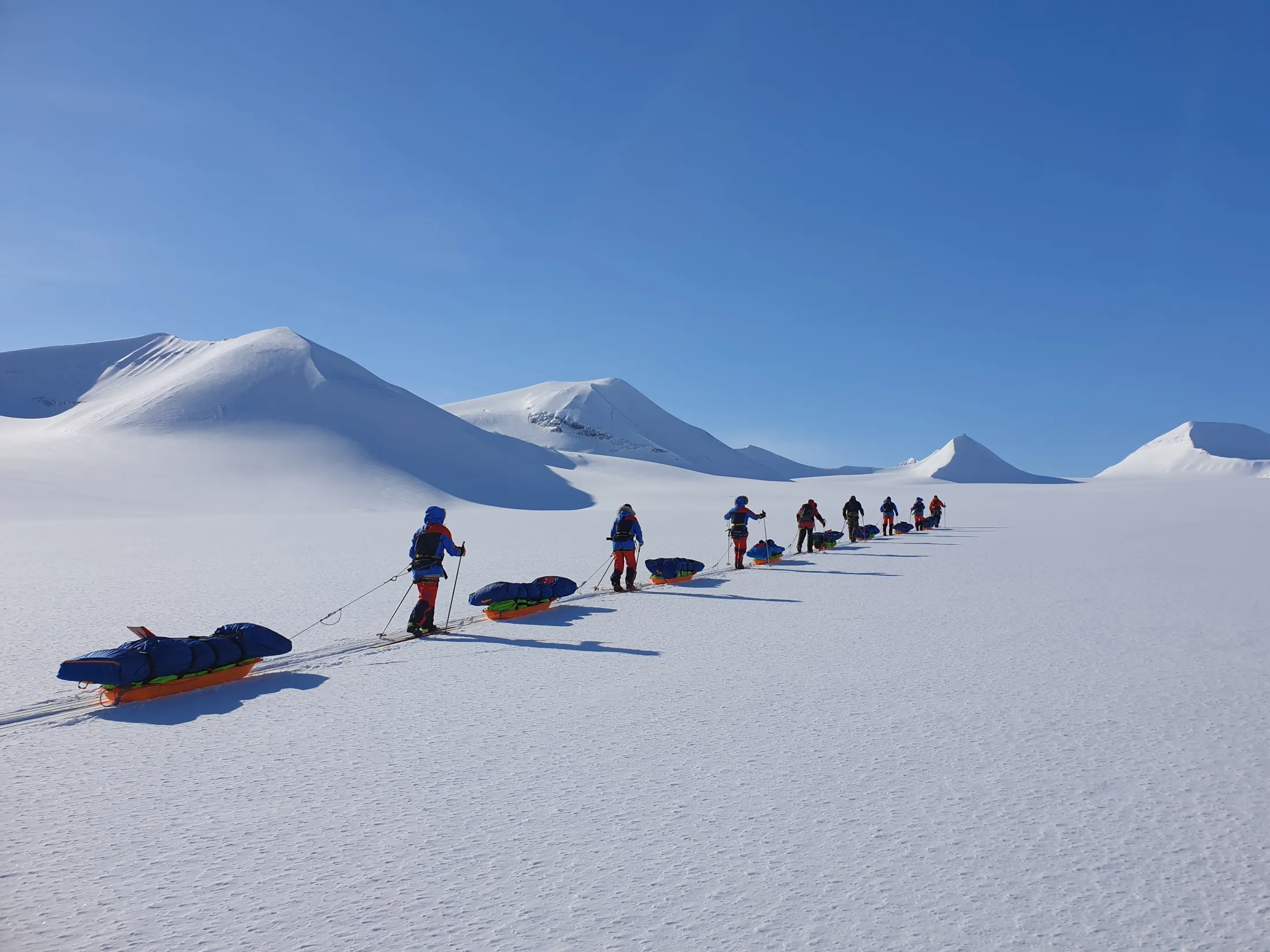 A line of skiers pulling pulks across a snowy landscape under a clear blue sky.
